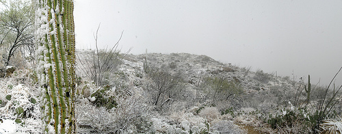 h_saguaro snow pano_6 pics_41 copy