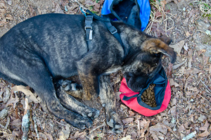 20110403 - Backpacking with Isi-5