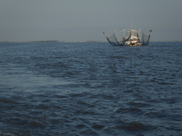 South Louisiana commercial shrimp boat, Barataria Bay.